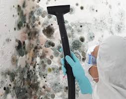 Best Residential Mold Inspection & Testing  in Philmont, NY